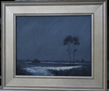 Diane Tomash - "Moonlight Over Protected Land"