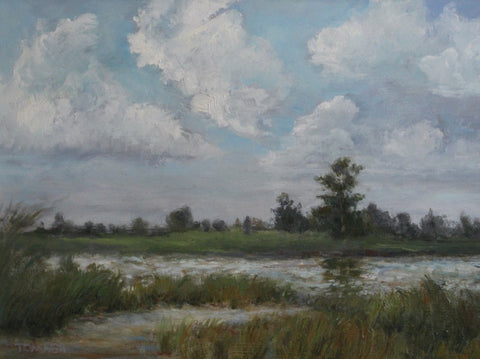 Diane Tomash - "Windy Day"