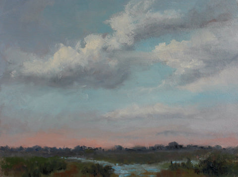 Diane Tomash - "Clouds Drifting Over the Sunset"