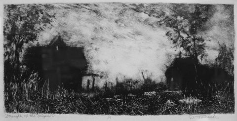 Diane Tomash - "Strength of the Neighbor"