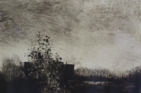 Diane Tomash - "Dwelling"