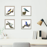 Mindy Lighthipe - "Yellow Throated Euphonia"