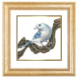 Mindy Lighthipe - "Blue GreyTanager"