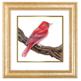 Mindy Lighthipe - "Summer Tanager"