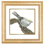 Mindy Lighthipe - "Palm Tanager"