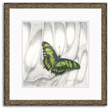 Mindy Lighthipe - "Malachite Butterfly"