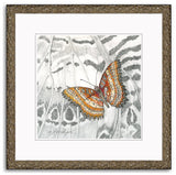 Mindy Lighthipe - "Malaysian Lacewing Butterfly"
