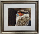 Mindy Lighthipe - "Majestic Gaze- Crested Cara Cara"