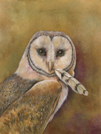 Mindy Lighthipe - "Barn Owl"