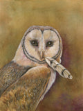 Mindy Lighthipe - "Barn Owl"