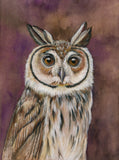 Mindy Lighthipe - "Striped Owl"