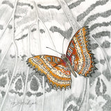 Mindy Lighthipe - "Malaysian Lacewing Butterfly"