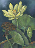 Mindy Lighthipe - "From Water to Light- Water Lotus"