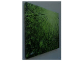 Adam Terry - "Looking Up # 6 Chartreuse Amuse"