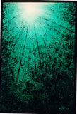Adam Terry - "Looking Up # 21 Spearmint Journey"