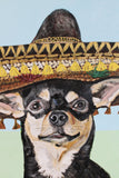 Bradley  Kachnowicz - "El Senor Juan Roberto Cantaba Montoya del desierto , AKA: Desert Bob... With Hat."
