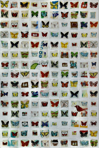 Bradley  Kachnowicz - "Momentum"