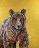 Bradley  Kachnowicz - "From the Light"