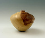 Troy Thompson - "Two Tone Ash"
