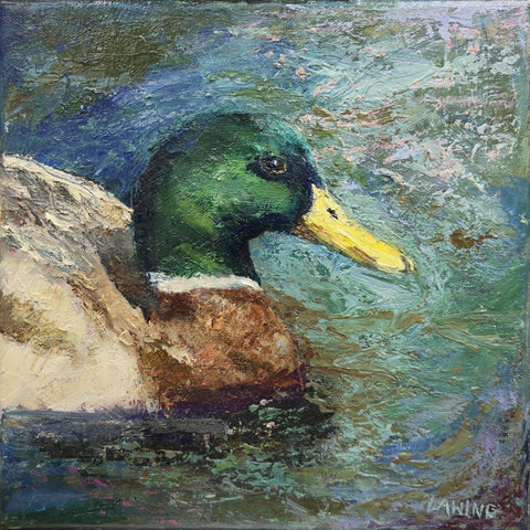 Julia Chandler Lawing - "Male Mallard"