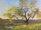 Phyllis J Ryser - "Dance Of the Mesquite"