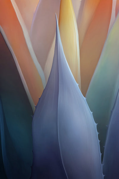 Jo Ann and George Aiello - "Agave Reimagined"