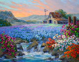 Mikki Senkarik - "Morning Glory"