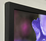 Michael e. Stern - "Iris series 001"