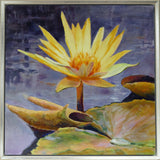 Terri Morse - "Waterlily Bliss"