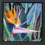 Terri Morse - "Bird of Paradise"