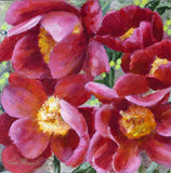 Terri Morse - "Rhythms"