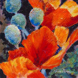 Terri Morse - "More to Come"