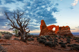 Toby and Renae Karlquist - "Weathered Witness at Turret Arch"
