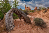 Toby and Renae Karlquist - "The Wooden Arch"