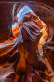 artboost-offering-image:298_variant_primary_1792702380_25fe8a3ba0280c7960ea.jpg