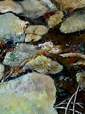 Anne Nye - "Crossing Over"