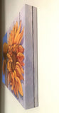 Anne Nye - "Wall Flowers"