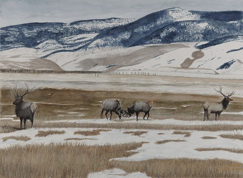 Elk Refuge - Oil Pastel and watercolor  by artist Jay Pendexter