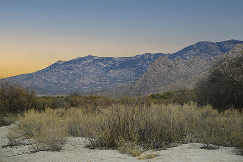 Early Morning Walk in the Desert - Photograph  by artist Bruce Campbell