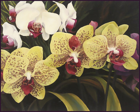 Orchids - oil on canvas  by artist Sandra Bryant