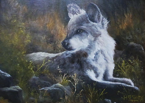 Arctic Wolf - Oil  by artist Daryl K Hosick