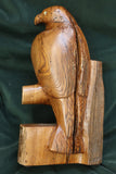Gary P Carver - ""Chestnut Champion""