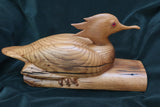 Gary P Carver - ""Male Red-Breasted Merganser""