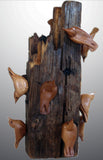 Gary P Carver - ""Nuthatches on Cabin Beam End""