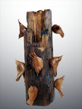 Gary P Carver - ""Nuthatches on Cabin Beam End""