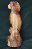 Gary P Carver - ""Walnut Cockatoo""