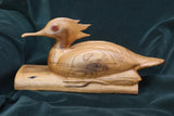 Gary P Carver - ""Male Red-Breasted Merganser""
