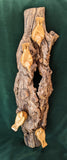 Gary P Carver - ""Nuthatch Imagination" (wall hanging)"