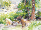 Julie Gilbert Pollard - "The Source"
