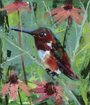 Coneflower Hummer - Acrylic on cigarbox  by artist Shannon Abbey